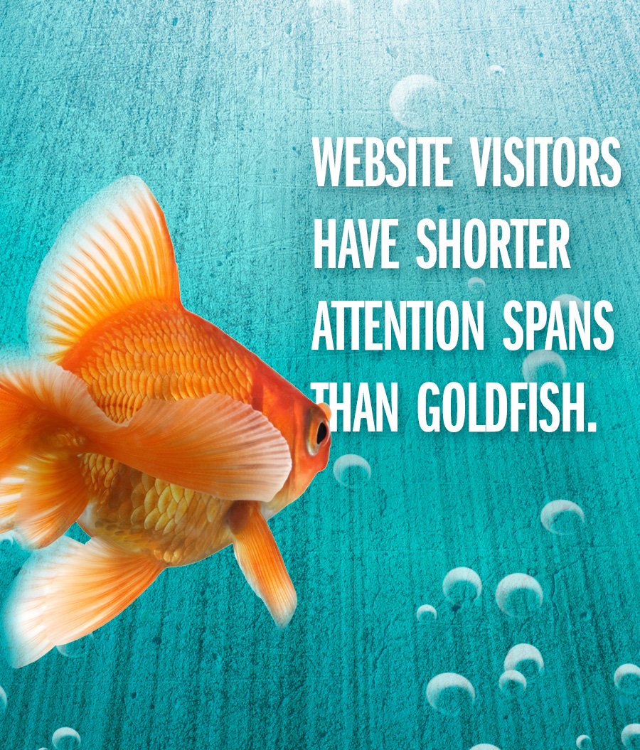 Website visitors have a shorter attention span than goldfish